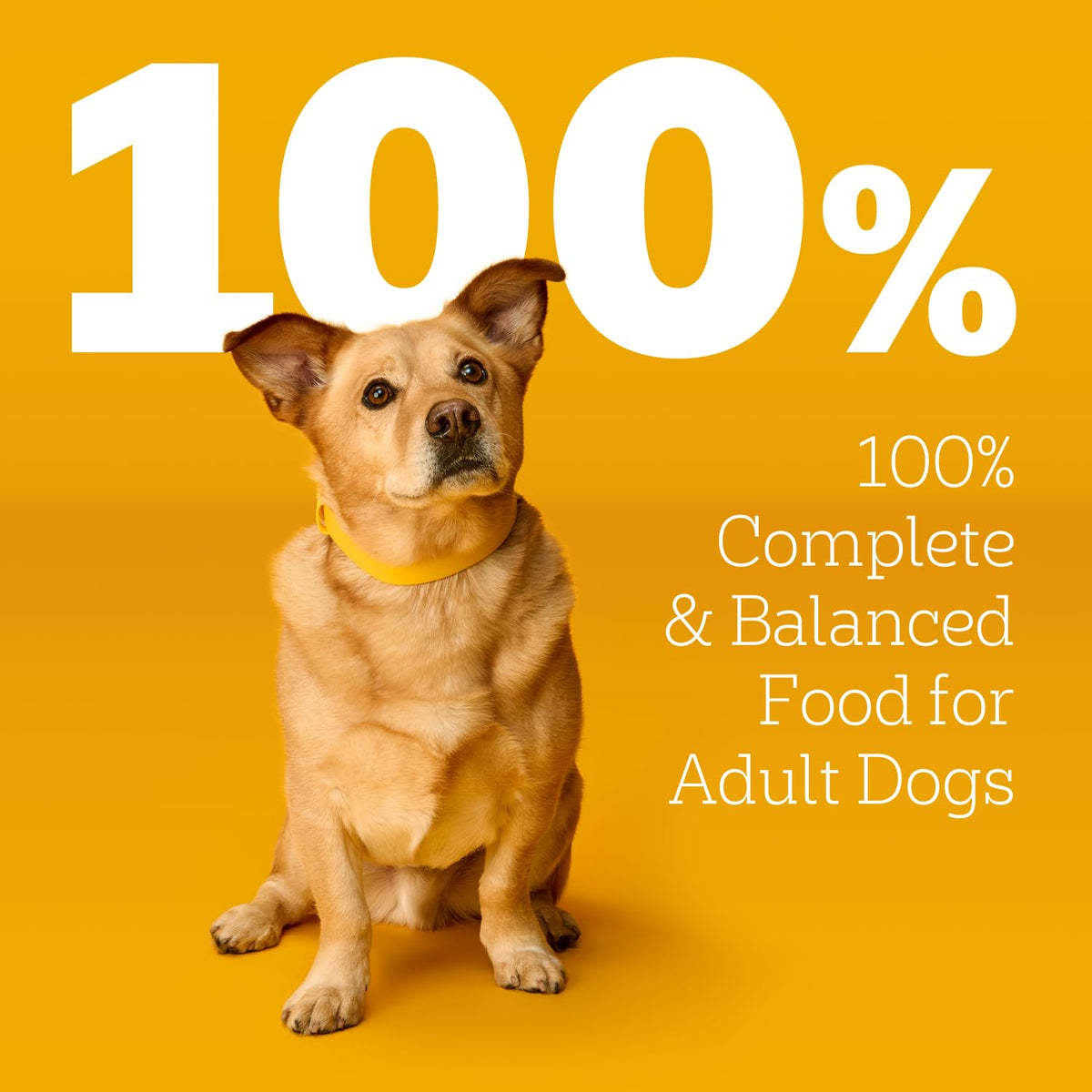 Pedigree Choice Cuts in Gravy Adult Soft Wet Dog Food 24-Count Variety Pack, 3.5 oz. Pouches