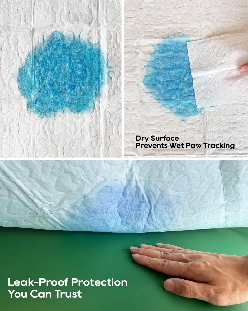 HONEY CARE All-Absorb, Large 22" x 23", 100 Count, Dog and Puppy Training Pads, Ultra Absorbent and Odor Eliminating, Leak-Proof 5-Layer Potty Training Pads with Quick-Dry Surface, Blue, A01