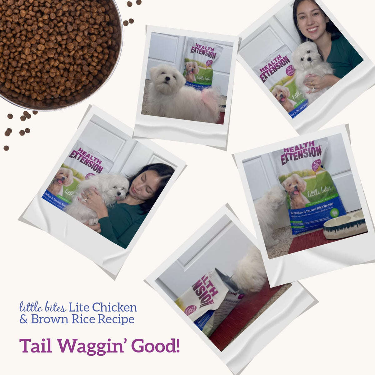 Health Extension Little Bites Dry Dog Food for Toy and Small Breeds, Chicken & Brown Rice Recipe, with Probiotics & Superfoods for Digestion & Coat Health, 30 lb Bag