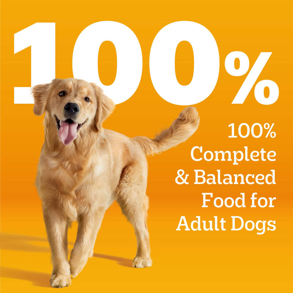 Pedigree Choice Cuts in Gravy Wet Dog Food, Beef, 13.2 oz, 12 count