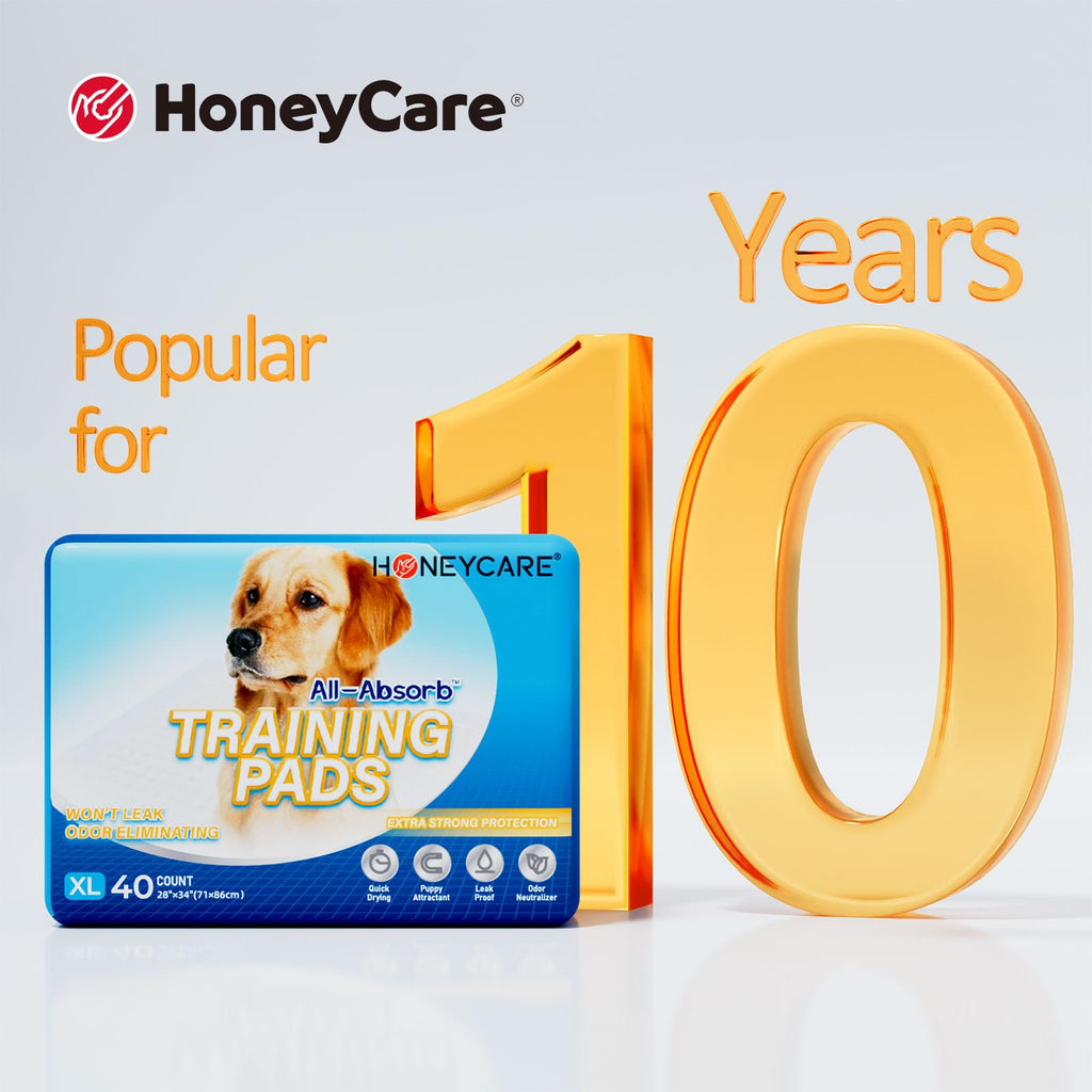 HONEY CARE All-Absorb, Large 22" x 23", 100 Count, Dog and Puppy Training Pads, Ultra Absorbent and Odor Eliminating, Leak-Proof 5-Layer Potty Training Pads with Quick-Dry Surface, Blue, A01