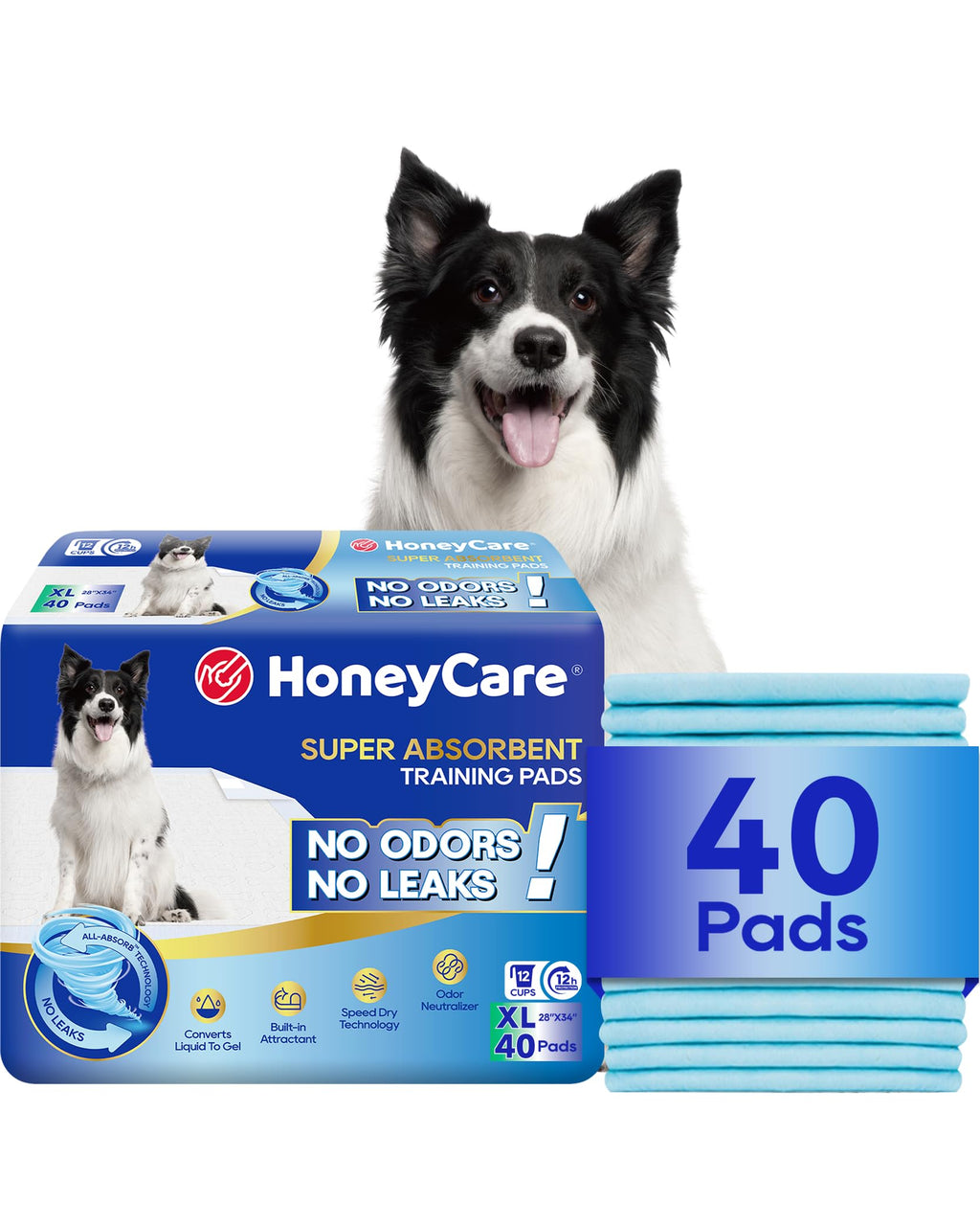 HONEY CARE All-Absorb, Large 22" x 23", 100 Count, Dog and Puppy Training Pads, Ultra Absorbent and Odor Eliminating, Leak-Proof 5-Layer Potty Training Pads with Quick-Dry Surface, Blue, A01