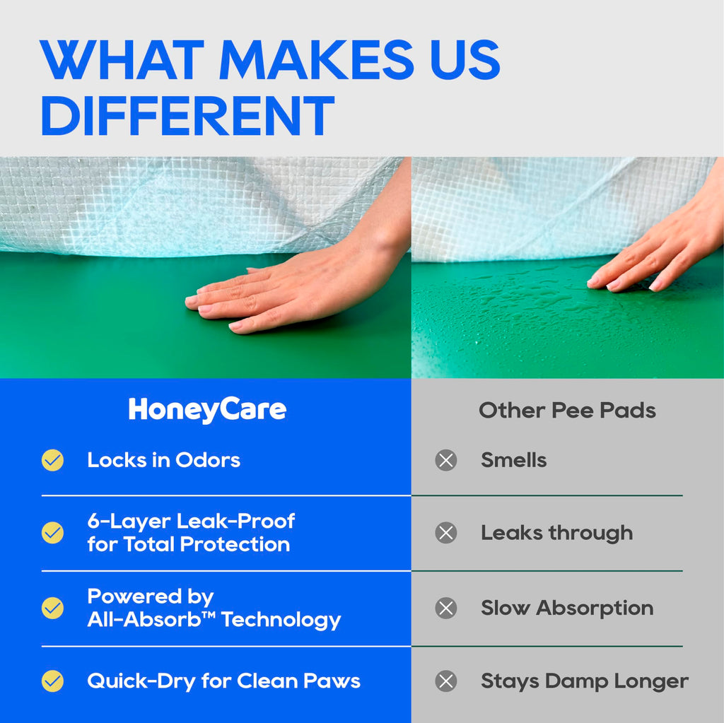 HONEY CARE All-Absorb, Large 22" x 23", 100 Count, Dog and Puppy Training Pads, Ultra Absorbent and Odor Eliminating, Leak-Proof 5-Layer Potty Training Pads with Quick-Dry Surface, Blue, A01