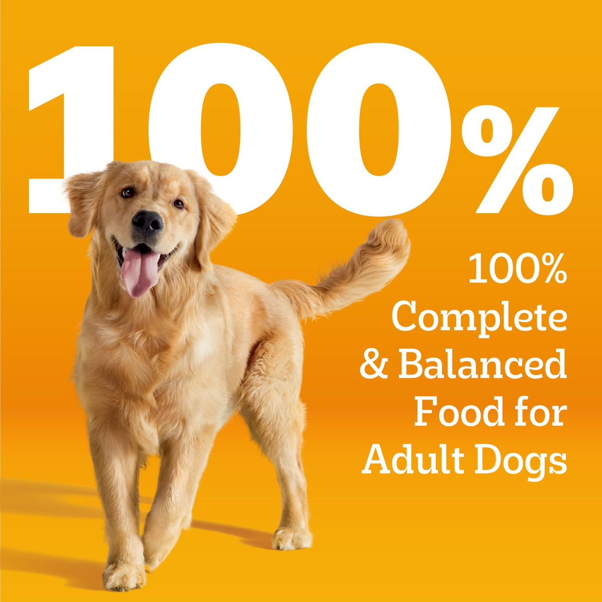 Pedigree Choice Cuts in Gravy Wet Dog Food, Beef, 13.2 oz, 12 count