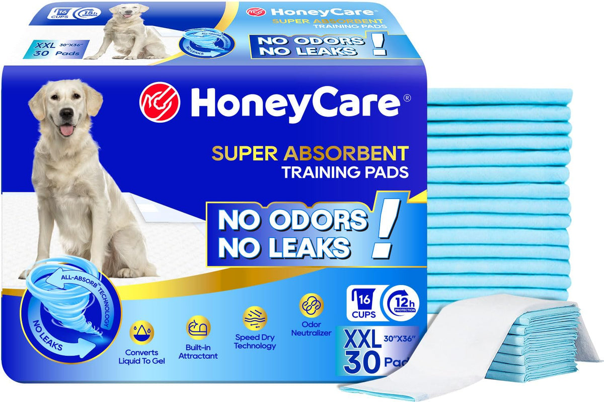 HONEY CARE All-Absorb, Large 22" x 23", 100 Count, Dog and Puppy Training Pads, Ultra Absorbent and Odor Eliminating, Leak-Proof 5-Layer Potty Training Pads with Quick-Dry Surface, Blue, A01