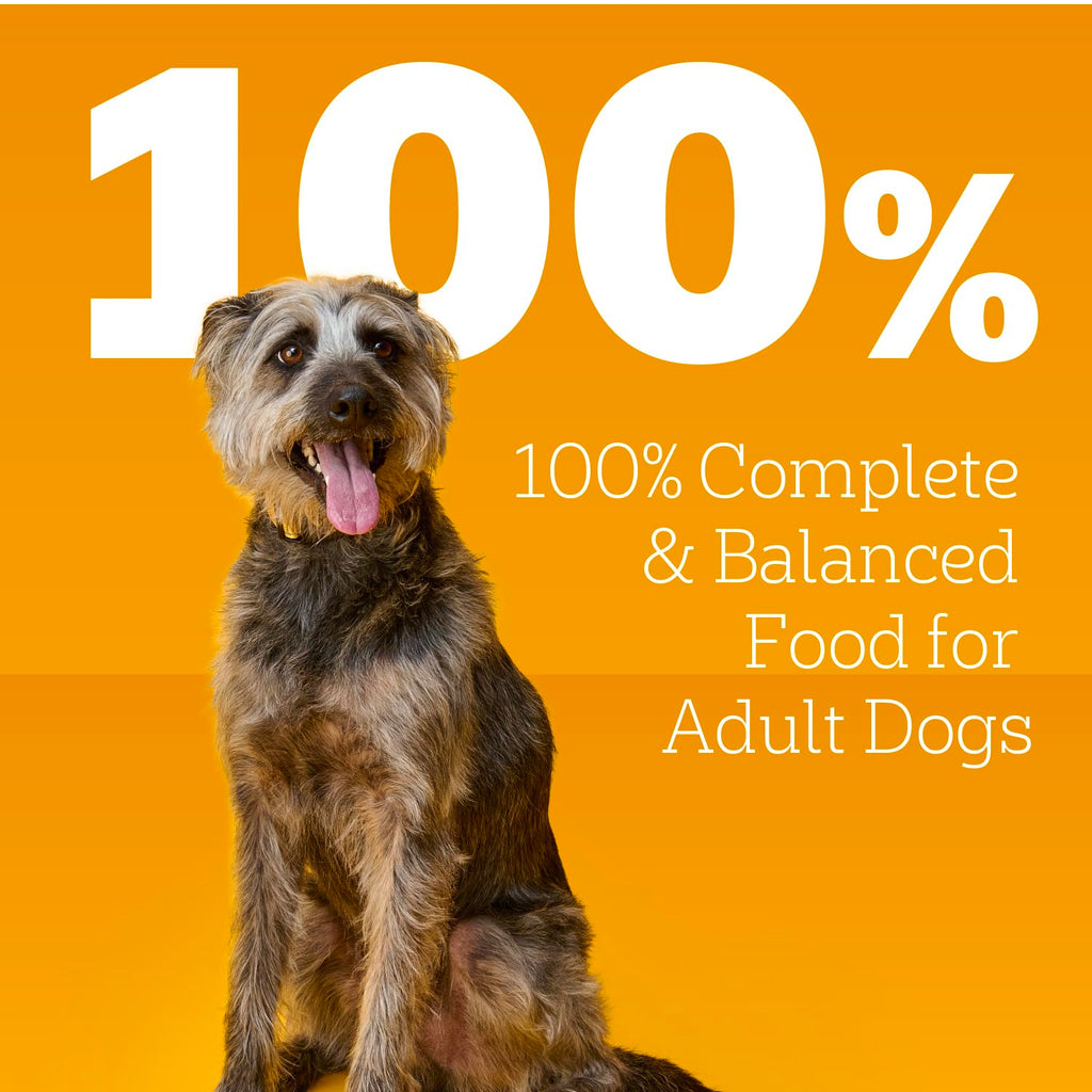 Pedigree Choice Cuts in Gravy Adult Soft Wet Dog Food 24-Count Variety Pack, 3.5 oz. Pouches
