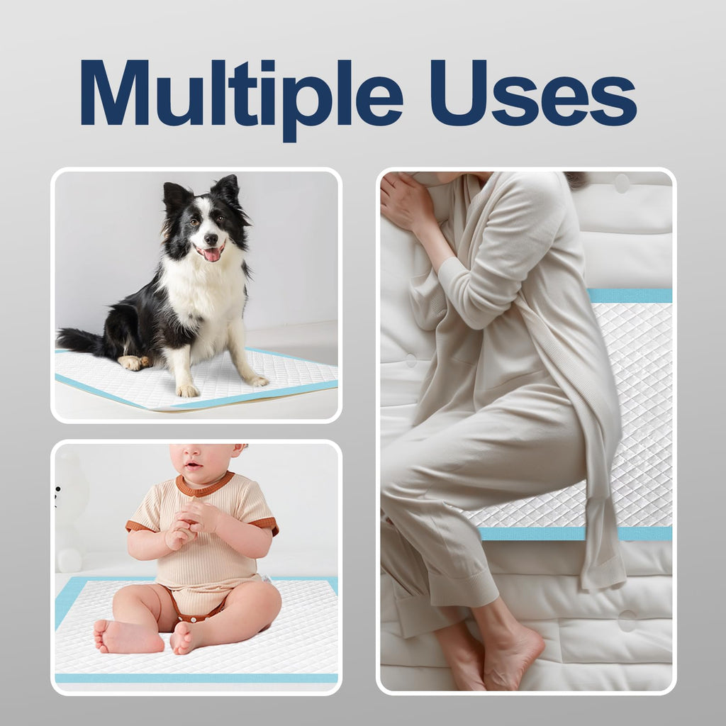 HONEY CARE All-Absorb, Large 22" x 23", 100 Count, Dog and Puppy Training Pads, Ultra Absorbent and Odor Eliminating, Leak-Proof 5-Layer Potty Training Pads with Quick-Dry Surface, Blue, A01
