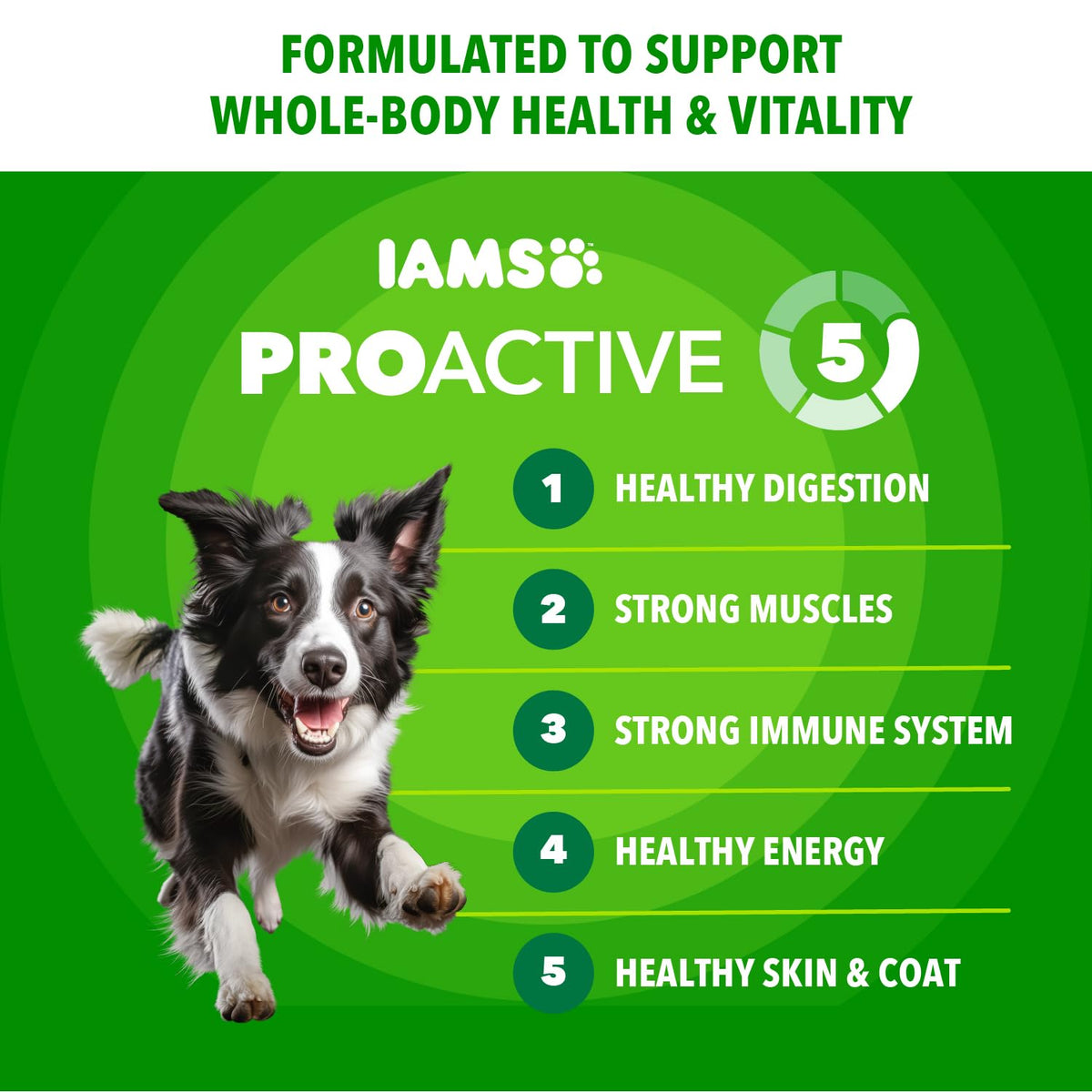 IAMS Proactive Health Adult Minichunks Dry Dog Food, Chicken, 30 lb | Real chicken #1 ingredient, no fillers, natural fiber & prebiotics, Omega-6 fatty acids, antioxidants for immune support
