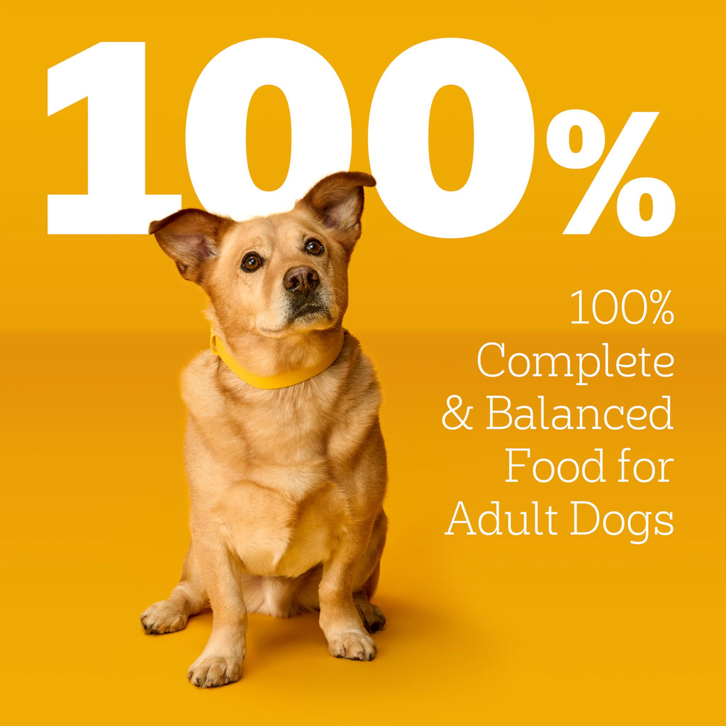 Pedigree Choice Cuts in Gravy Adult Soft Wet Dog Food 24-Count Variety Pack, 3.5 oz. Pouches