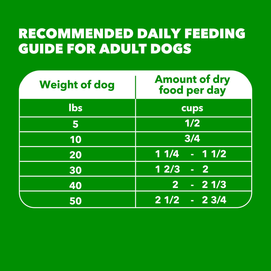 IAMS Proactive Health Adult Minichunks Dry Dog Food, Chicken, 30 lb | Real chicken #1 ingredient, no fillers, natural fiber & prebiotics, Omega-6 fatty acids, antioxidants for immune support