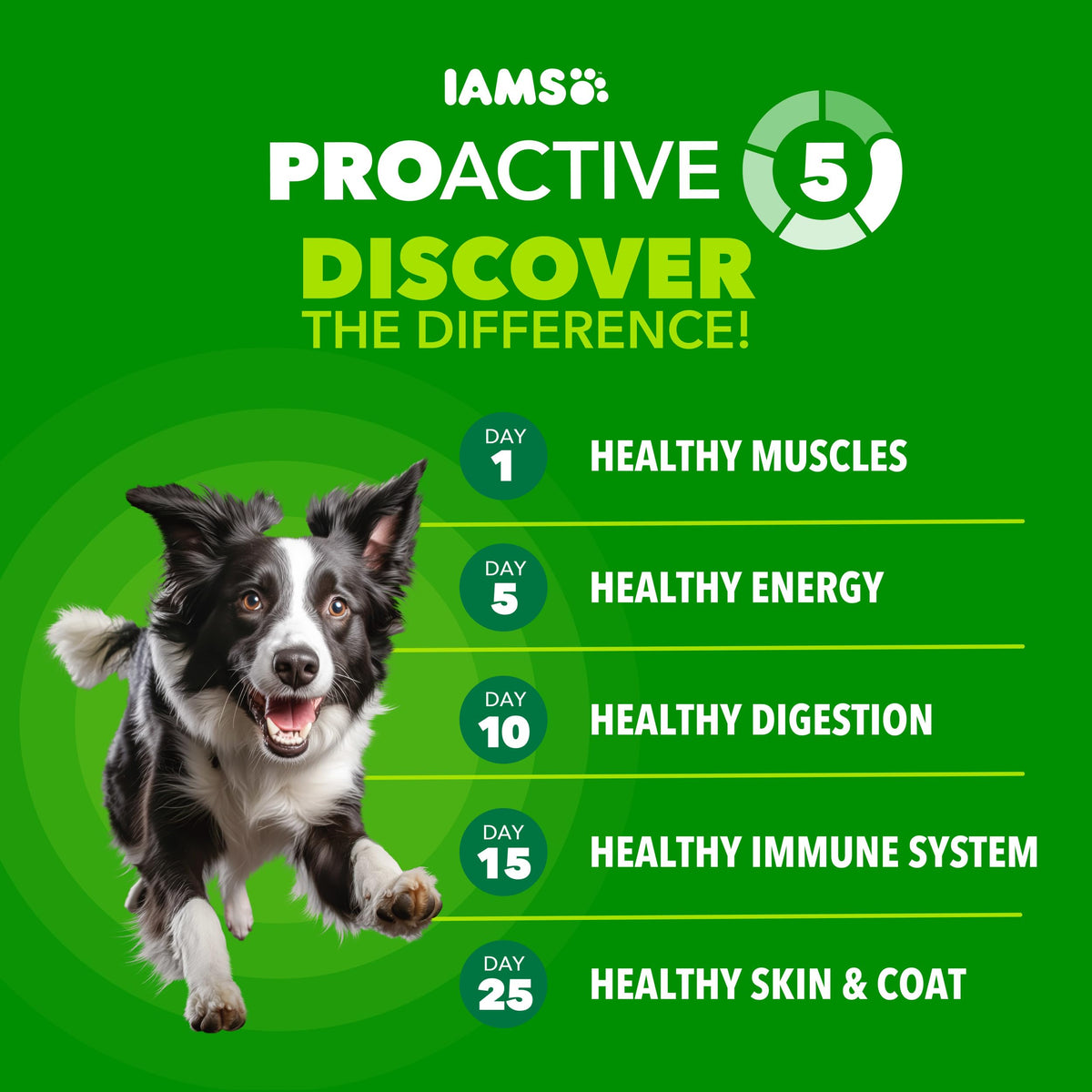 IAMS Proactive Health Adult Minichunks Dry Dog Food, Chicken, 30 lb | Real chicken #1 ingredient, no fillers, natural fiber & prebiotics, Omega-6 fatty acids, antioxidants for immune support