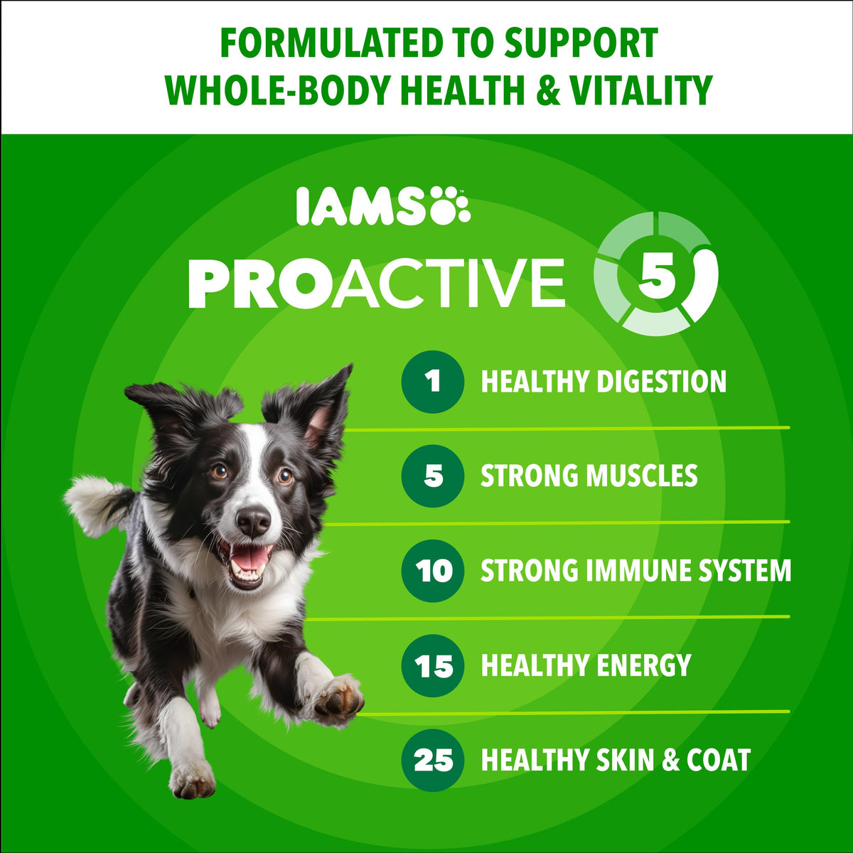 IAMS Proactive Health Adult Minichunks Dry Dog Food, Chicken, 30 lb | Real chicken #1 ingredient, no fillers, natural fiber & prebiotics, Omega-6 fatty acids, antioxidants for immune support