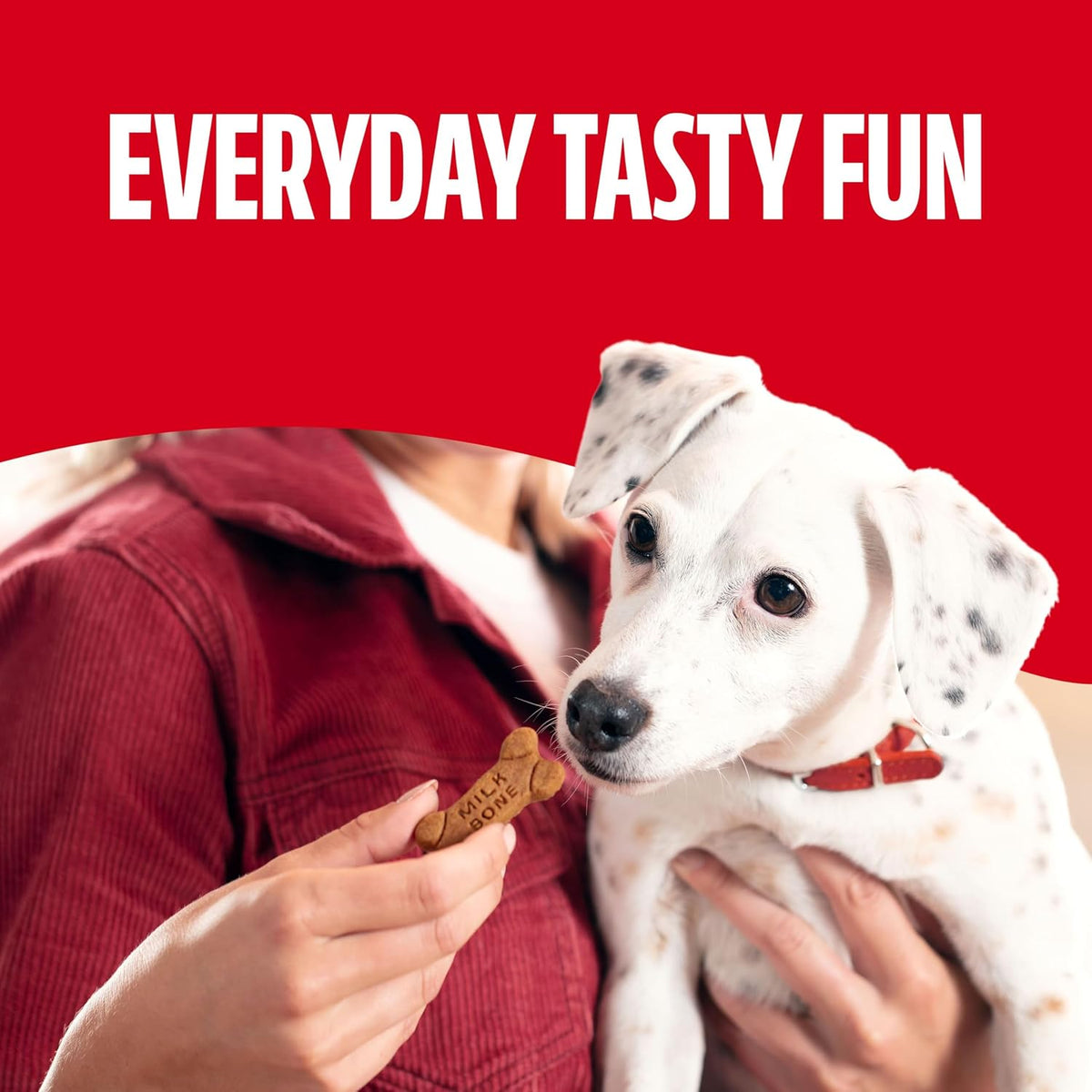 Milk-Bone Soft & Chewy Dog Treats, Made with Real Bacon, 10 Pouches