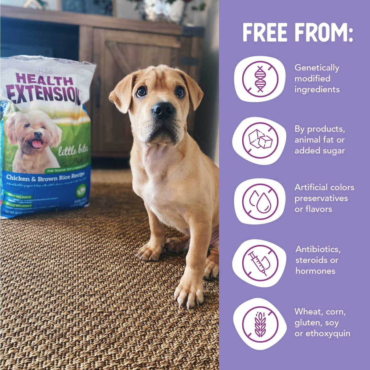 Health Extension Little Bites Dry Dog Food for Toy and Small Breeds, Chicken & Brown Rice Recipe, with Probiotics & Superfoods for Digestion & Coat Health, 30 lb Bag