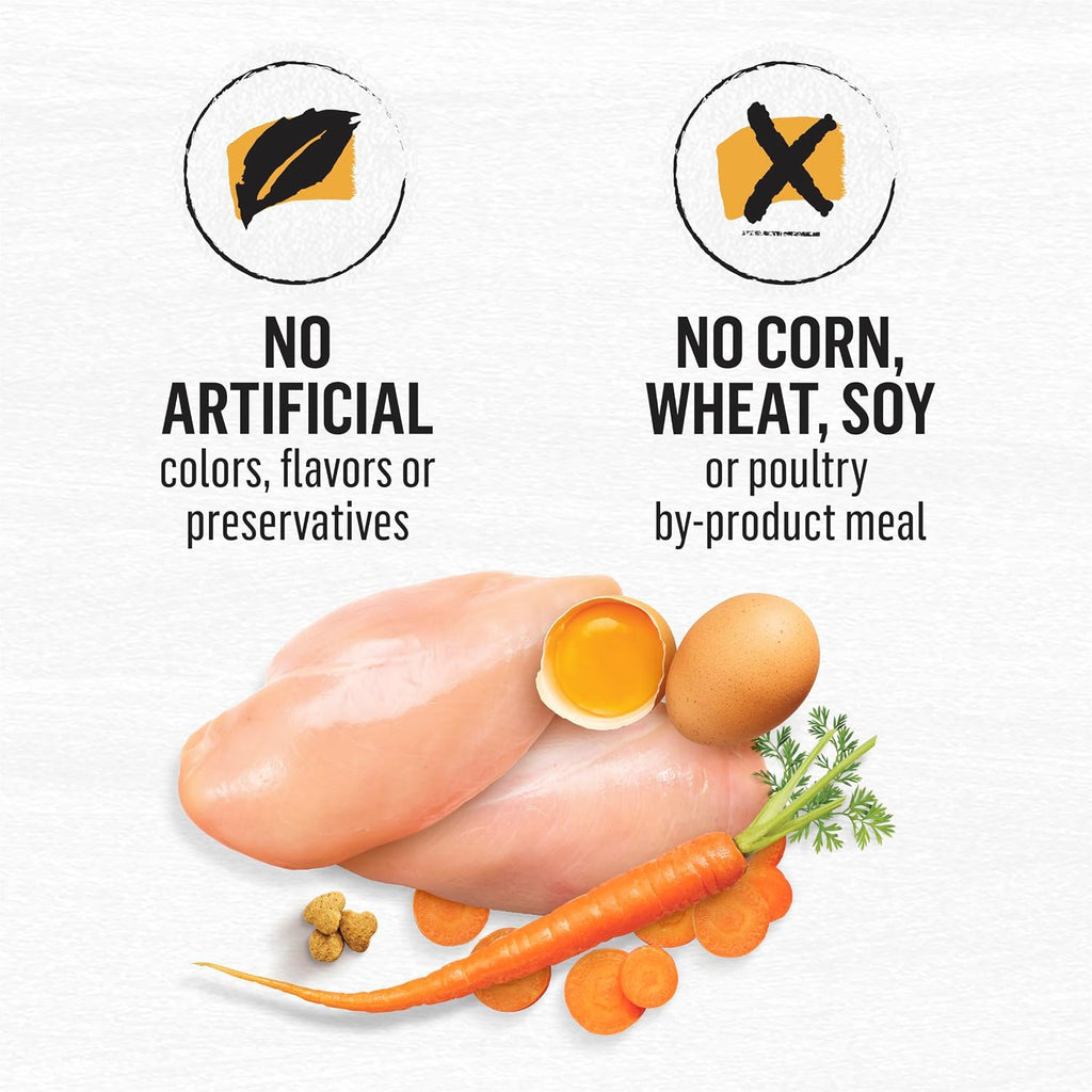 Purina Beyond Grain Free White Meat Chicken and Egg Recipe Natural Cat Food High Protein Cat Food Dry Formula - 16 Lb. Bag