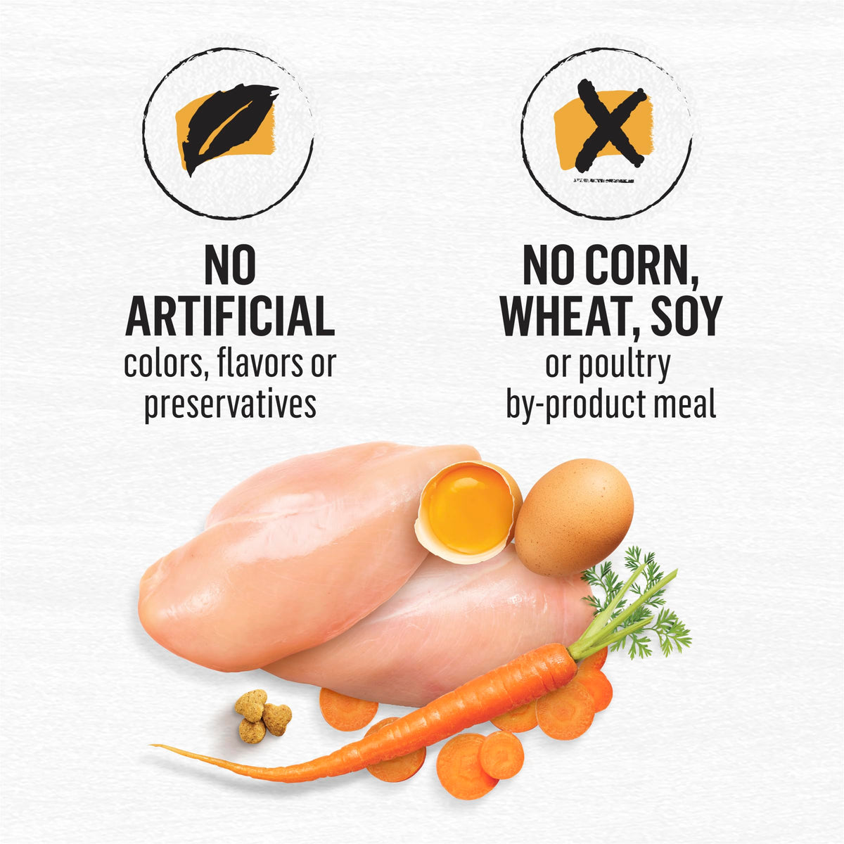Purina Beyond Grain Free White Meat Chicken and Egg Recipe Natural Cat Food High Protein Cat Food Dry Formula - 16 Lb. Bag