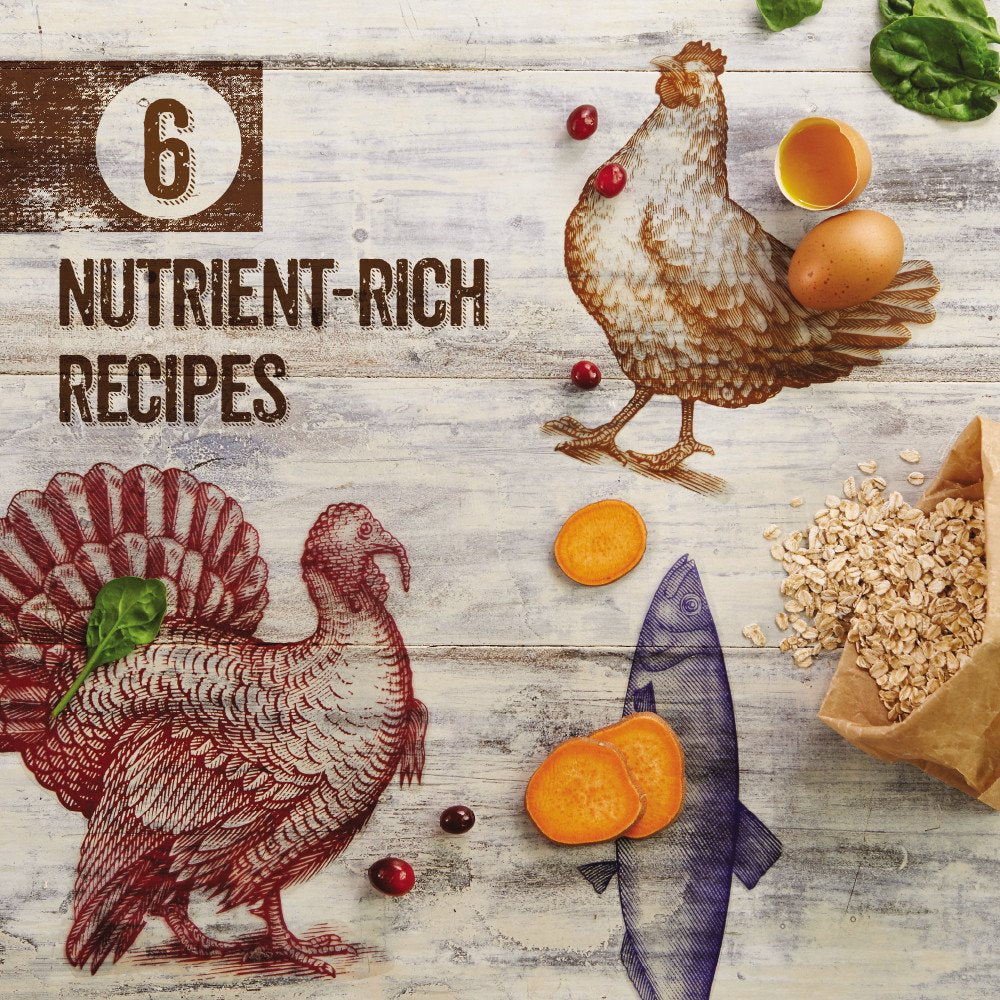 Purina Beyond Grain Free White Meat Chicken and Egg Recipe Natural Cat Food High Protein Cat Food Dry Formula - 16 Lb. Bag