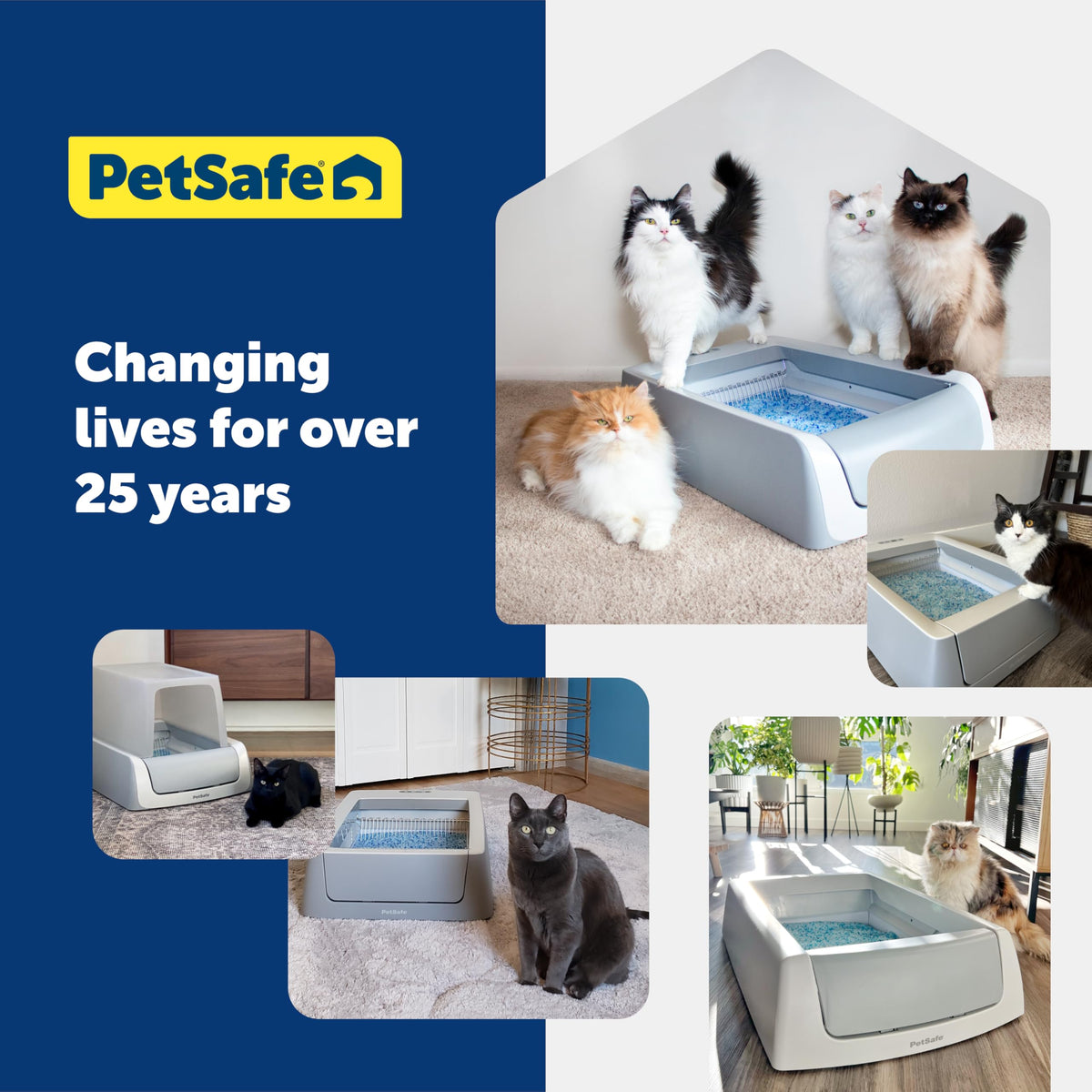 PetSafe ScoopFree Crystal Litter Box Tray Refill with Lavender Crystals,