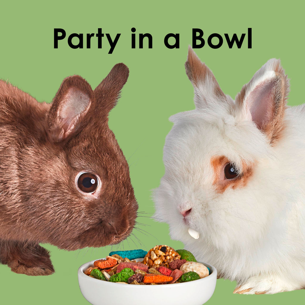 Kaytee Fiesta Rabbit Food, Nutritious and Fun Blend, Supports Dental Health and Digestion, 20 pounds