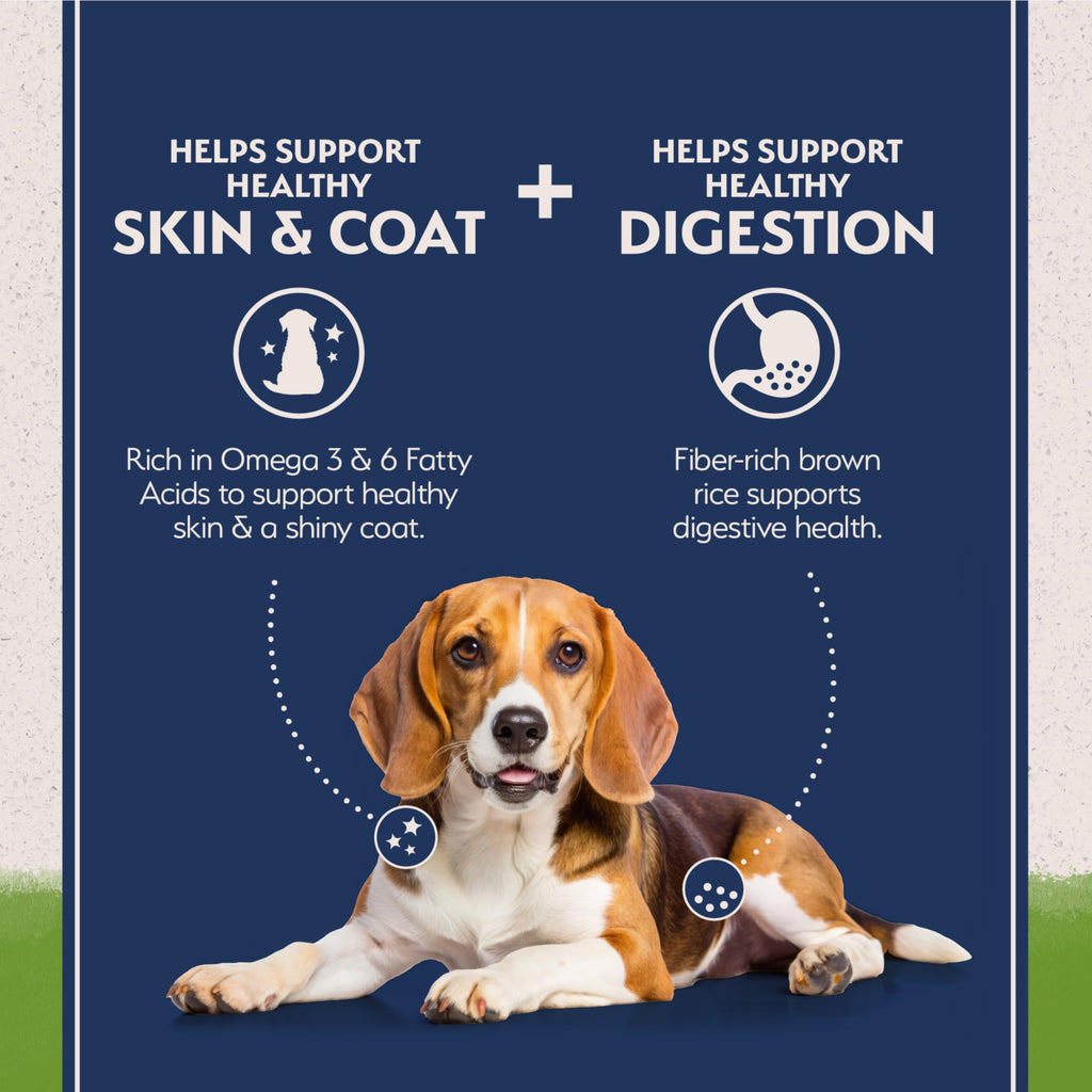 Natural Balance Limited Ingredient Vegetarian Recipe | Adult Dry Dog Food | Vegan | 14-lb. Bag