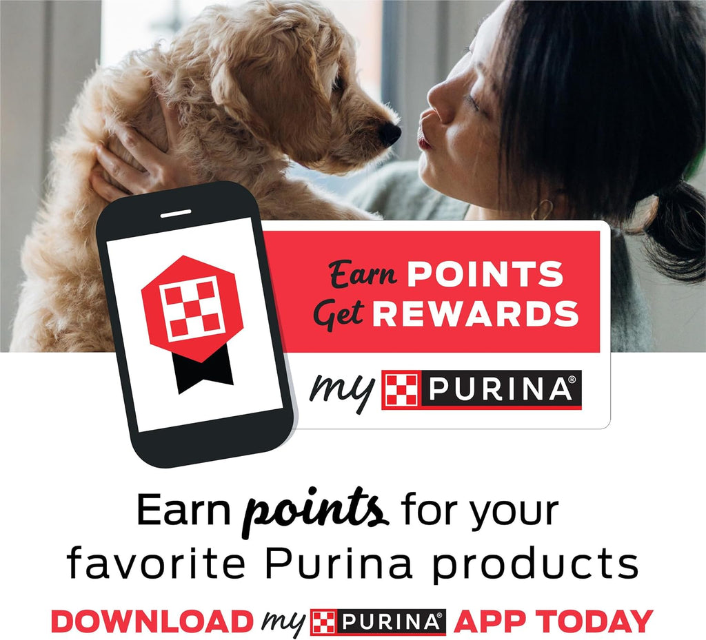 Purina Beyond Grain Free White Meat Chicken and Egg Recipe Natural Cat Food High Protein Cat Food Dry Formula - 16 Lb. Bag