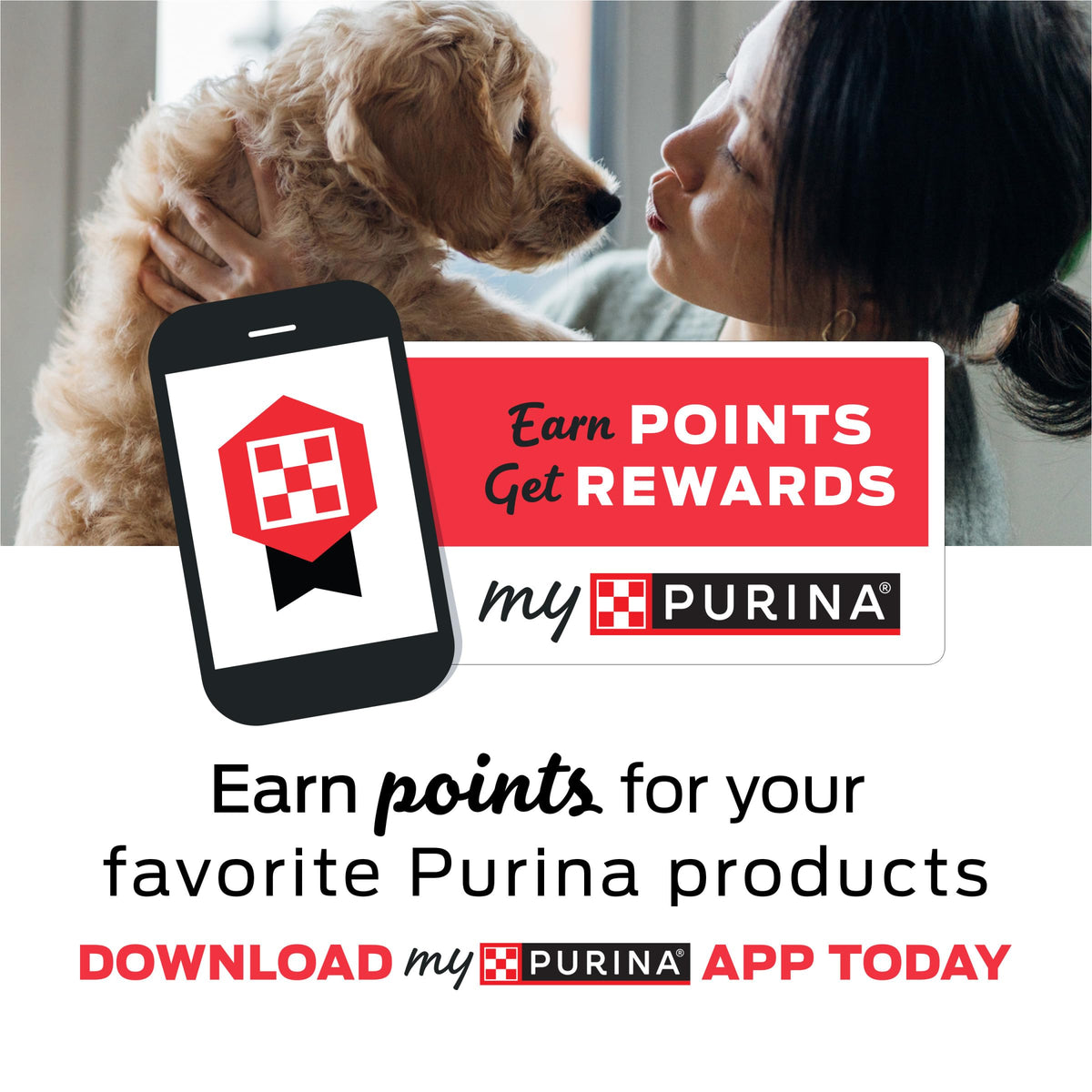 Purina Beyond Grain Free White Meat Chicken and Egg Recipe Natural Cat Food High Protein Cat Food Dry Formula - 16 Lb. Bag