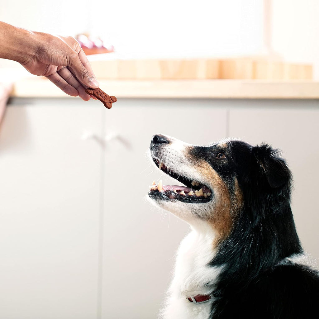 Milk-Bone Soft & Chewy Dog Treats, Made with Real Bacon, 10 Pouches