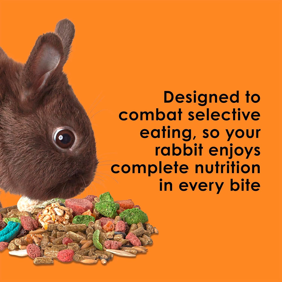 Kaytee Fiesta Rabbit Food, Nutritious and Fun Blend, Supports Dental Health and Digestion, 20 pounds