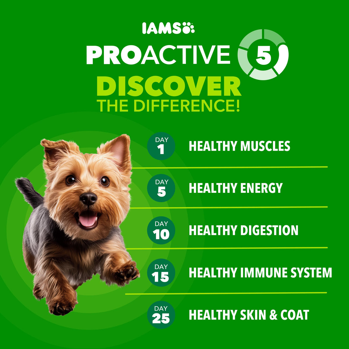 IAMS Proactive Health Dry Dog Food for Small Breeds, Adult Dog Food Dry Recipe, 7 lb. Bag