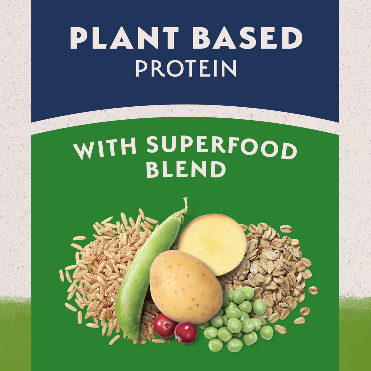 Natural Balance Limited Ingredient Vegetarian Recipe | Adult Dry Dog Food | Vegan | 14-lb. Bag