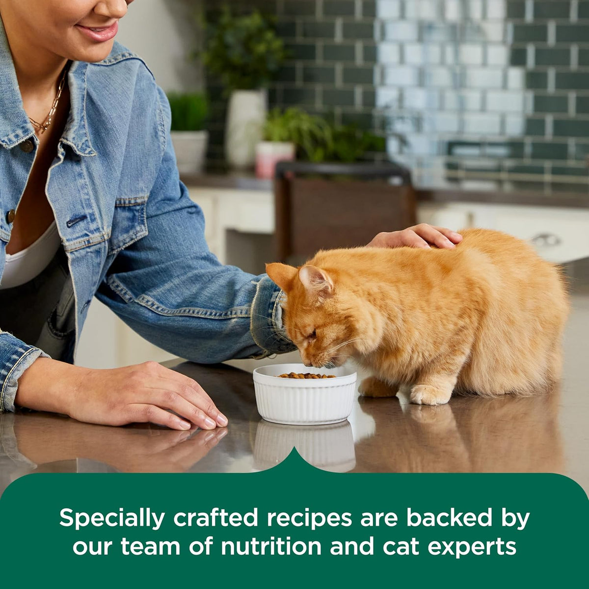 Nutrish Indoor Complete Dry Cat Food, 14 lb. Bag (Rachael Ray)