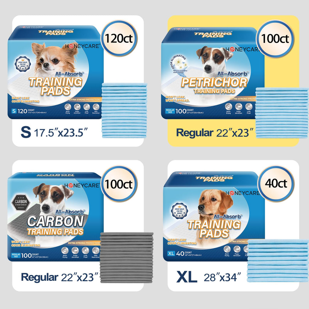 HONEY CARE All-Absorb, Large 22" x 23", 100 Count, Dog and Puppy Training Pads, Ultra Absorbent and Odor Eliminating, Leak-Proof 5-Layer Potty Training Pads with Quick-Dry Surface, Blue, A01