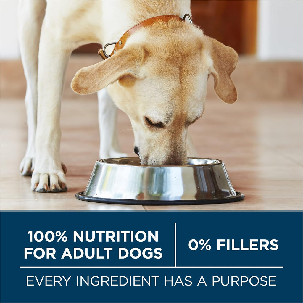 Purina ONE Natural Large Breed Adult Dry Dog Food, +Plus Formula - 16.5 lb. Bag