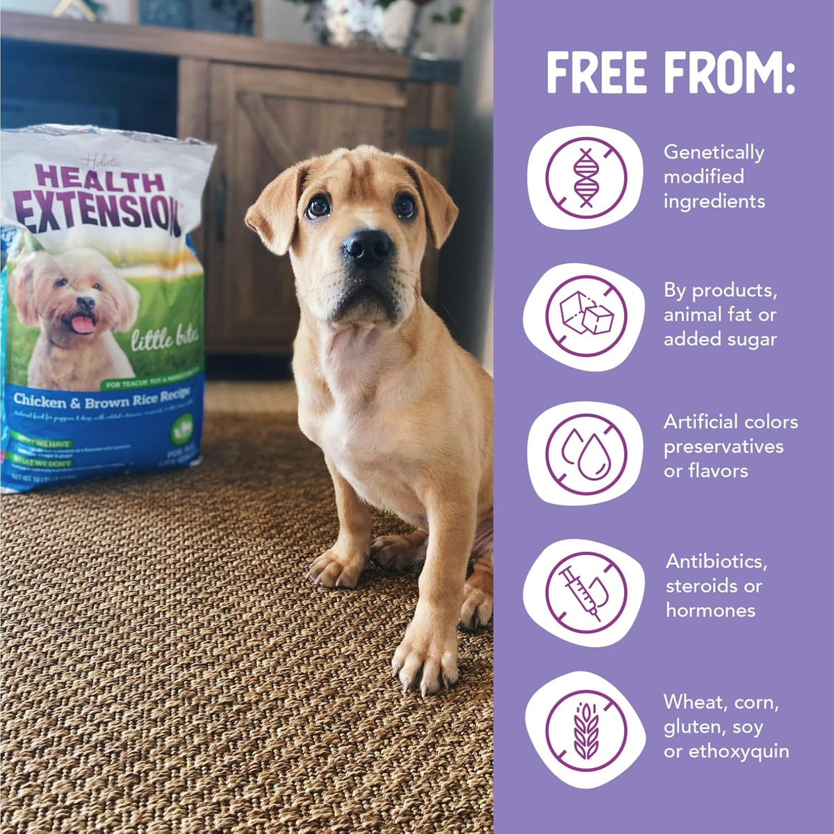 Health Extension Little Bites Dry Dog Food for Toy and Small Breeds, Chicken & Brown Rice Recipe, with Probiotics & Superfoods for Digestion & Coat Health, 30 lb Bag