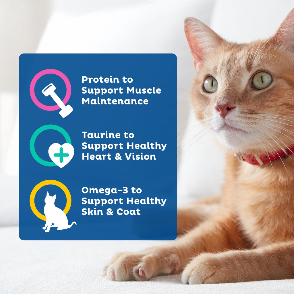9Lives Daily Essentials Dry Cat Food, 20 lb. Bag