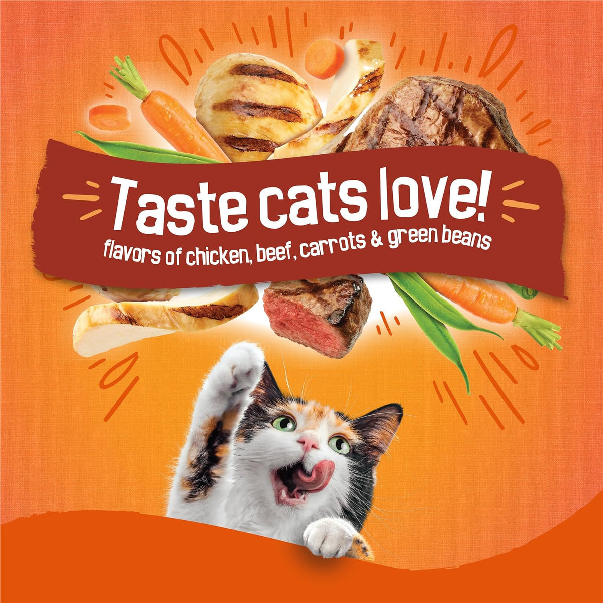 Purina Friskies Tender and Crunchy Combo Dry Cat Food, 16 lb Bag
