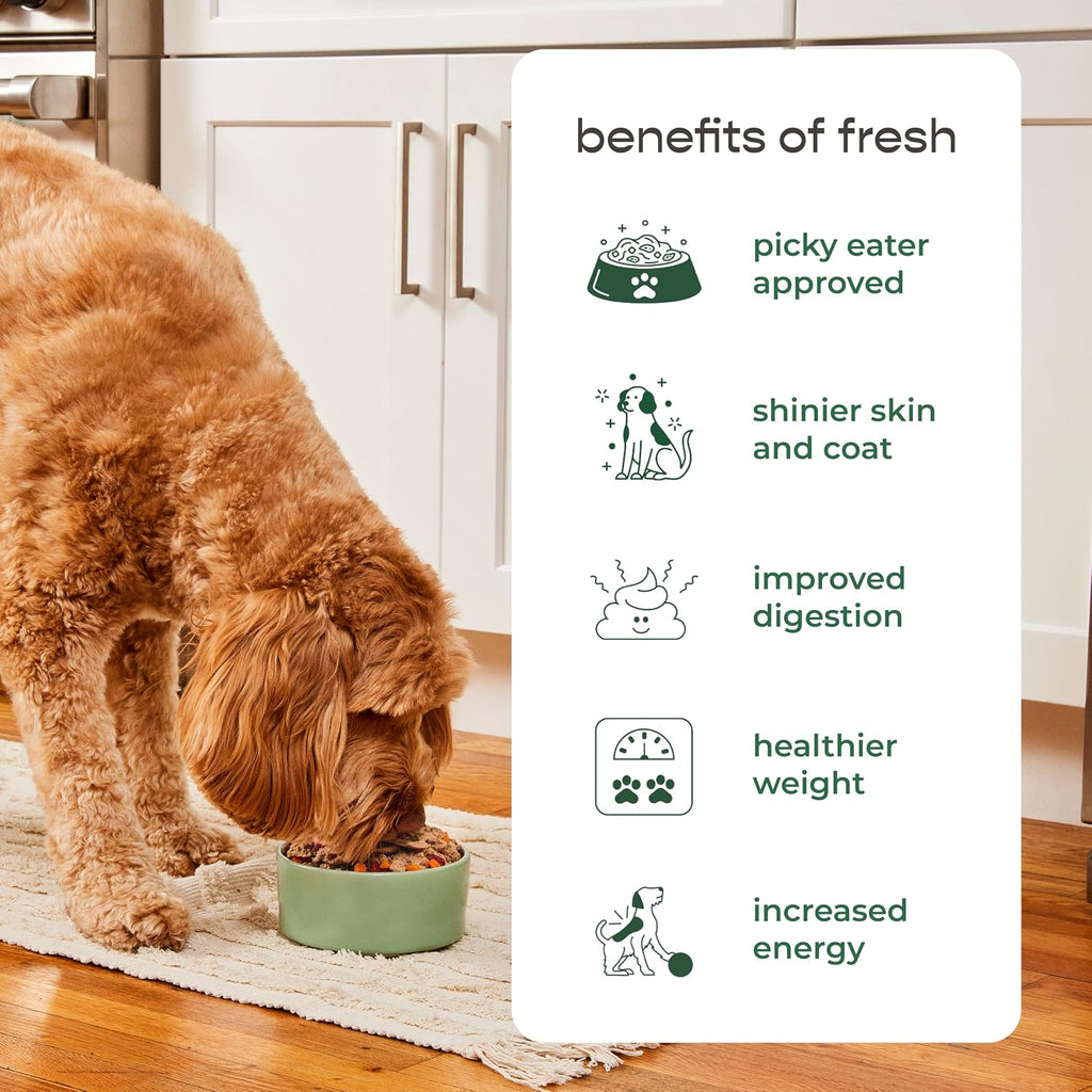 Freshpet Fresh Dog Food, Freshly Roasted Meals, Tender Chicken Recipe, 5.5 lb